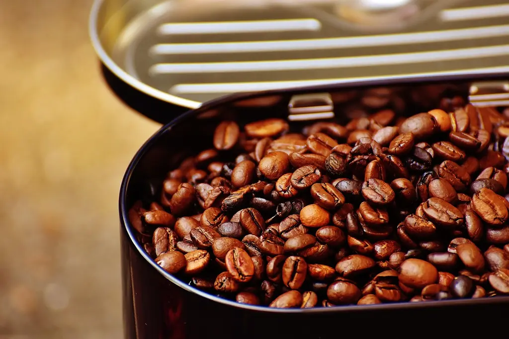 Cómo seleccionamos nuestros cafés de origen