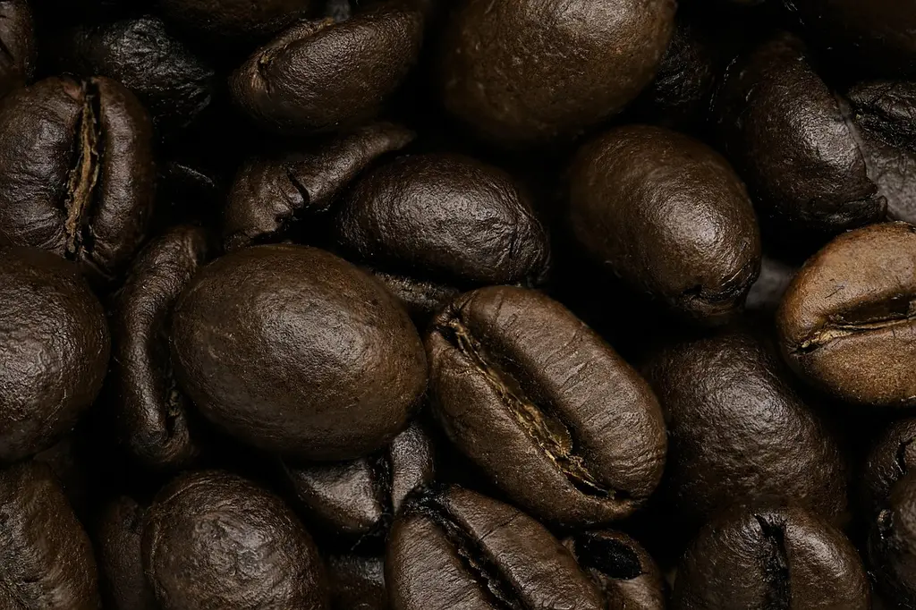 Guía para principiantes sobre cafés de origen