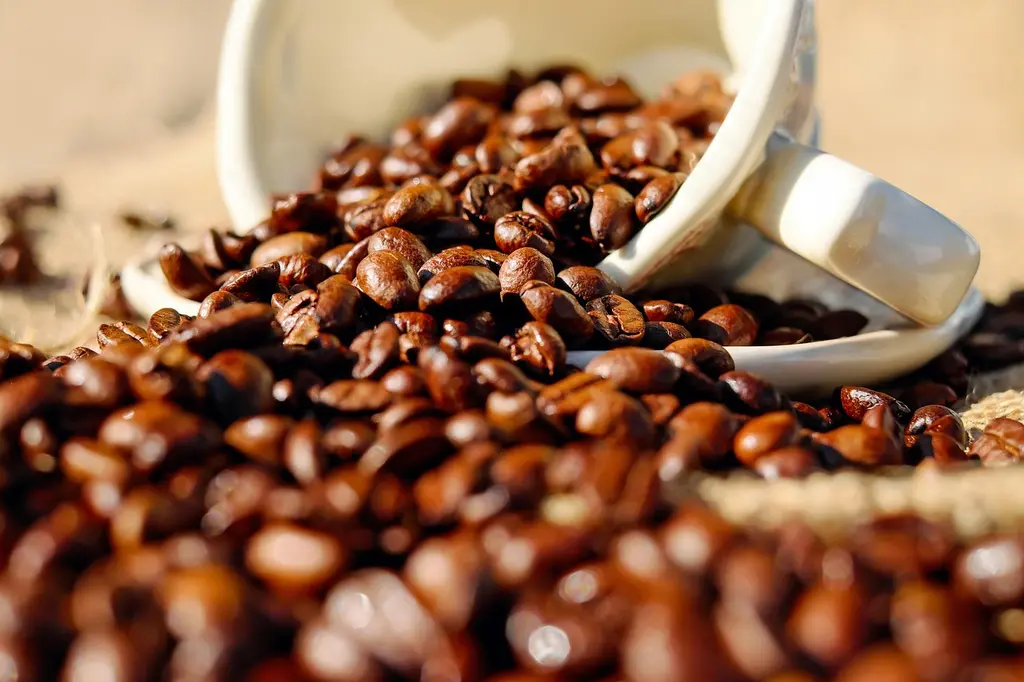 Los mejores orígenes de café en 2023